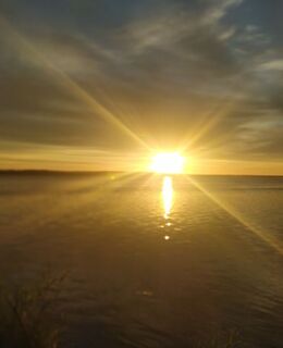 Vitala — фото 1