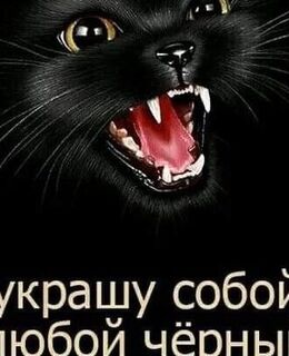 Валерий Худяков